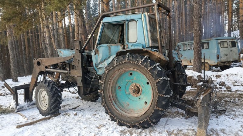 В Таштагольском районе вынесен приговор по уголовному делу о незаконной рубке леса на сумму более 2,3 млн рублей
